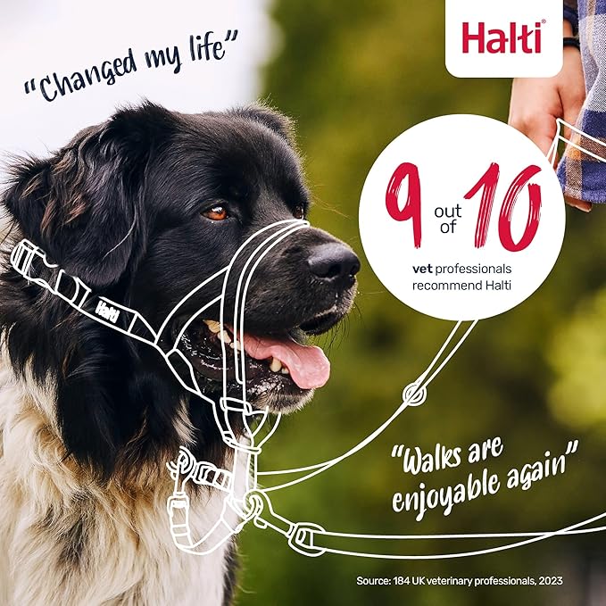 Halti Headcollar - Stop Your Dog Pulling on The Leash. Adjustable, Reflective and Lightweight, with Padded Nose Band. Dog Training Anti-Pull Collar for Small Dogs (Size 1, Burnt Orange)