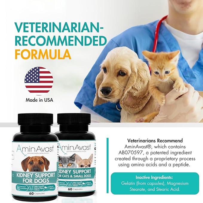 AminAvast Kidney Support Supplement for Dogs, 1000mg 3-Pack - Promotes Natural Kidney Function - Aids in Health and Vitality of Aging Kidneys - Easily Administered - 60 Sprinkle Capsules