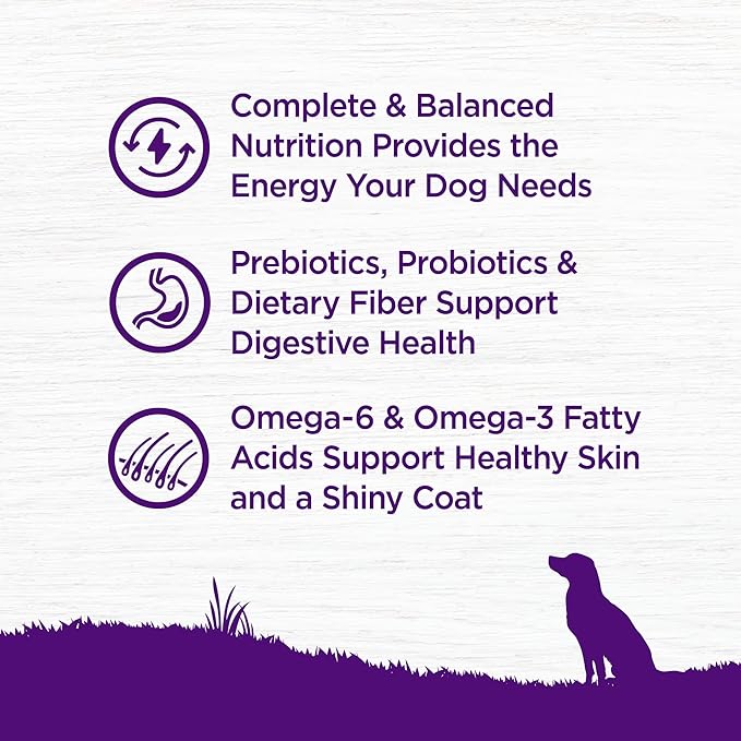 Wellness Complete Health Adult Dry Dog Food, Wholesome Grain Kibble, Natural, Chicken and Oatmeal Recipe, 5 lb Bag