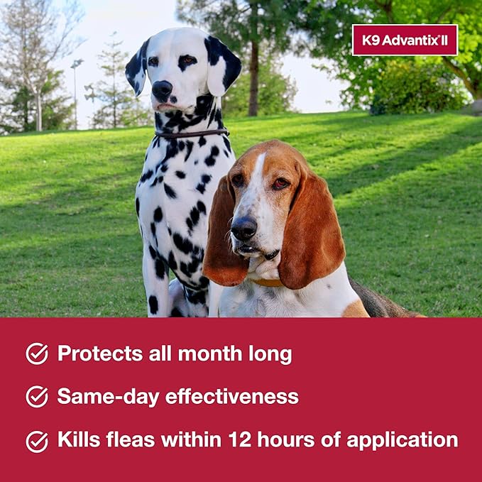 K9 Advantix II Small Dog Vet-Recommended Flea, Tick & Mosquito Treatment & Prevention | Dogs 4-10 lbs. | 1-Mo Supply (Pack of 3)