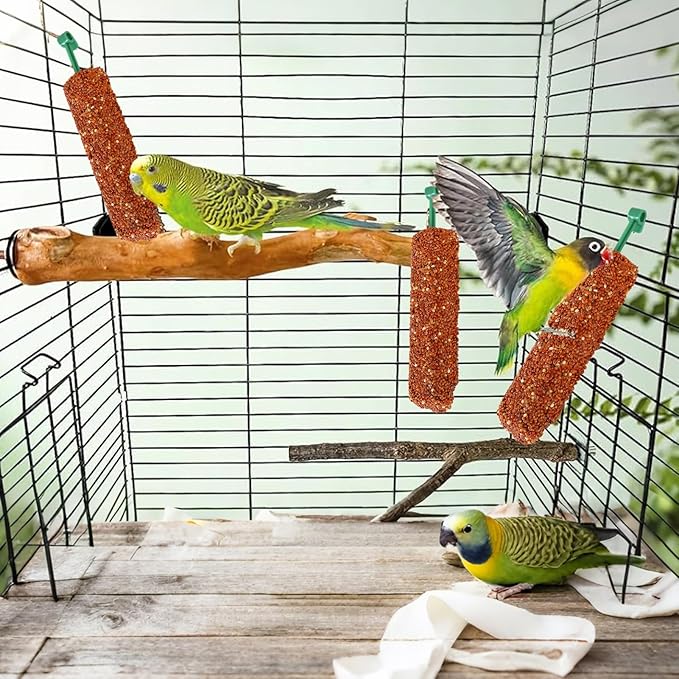 Parakeet Treats Sticks - Training and Chewing Bird Snacks for Parakeets, Finches, Conures with Nutrient-Rich | Reward Food for Myna, Parrot, Foraging, Healthy Snack, 2 Pack