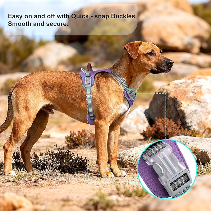 No Pull Dog Harness – Adjustable Reflective Nylon Vest for Small Medium Large Dogs, Escape Proof Training Harness with Leather Control Handle, Lightweight Aluminum Hardware (Purple, S)
