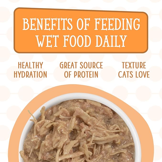 Weruva Cats in The Kitchen, Word from The Bird! Variety Pack, 6oz Can (Pack of 12)
