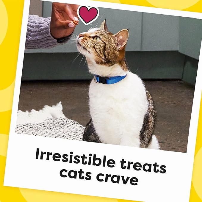 Temptations Cat Treats, Classic Crunchy and Soft Cat Treats, Shrimpy Shrimp Flavor, 16 oz. Tub