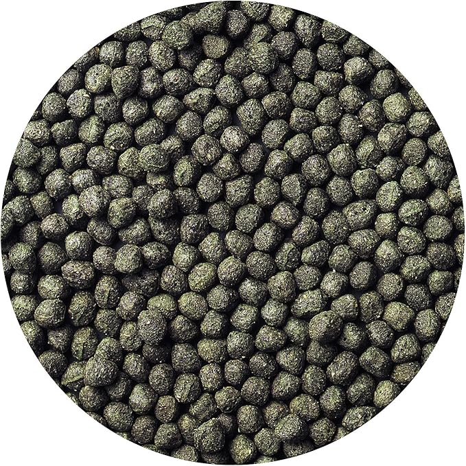 Hikari 8.8-Ounce Cichlid Excel Floating Pellets for Pets, Medium