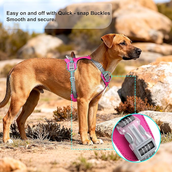 No Pull Dog Harness – Adjustable Reflective Nylon Vest for Small Medium Large Dogs, Escape Proof Training Harness with Leather Control Handle, Lightweight Aluminum Hardware (Hot Pink, M)