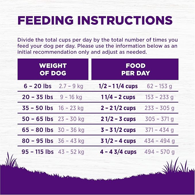 Wellness Complete Health Adult Dry Dog Food, Wholesome Grain Kibble, Natural, Chicken and Oatmeal Recipe, 30 lb Bag