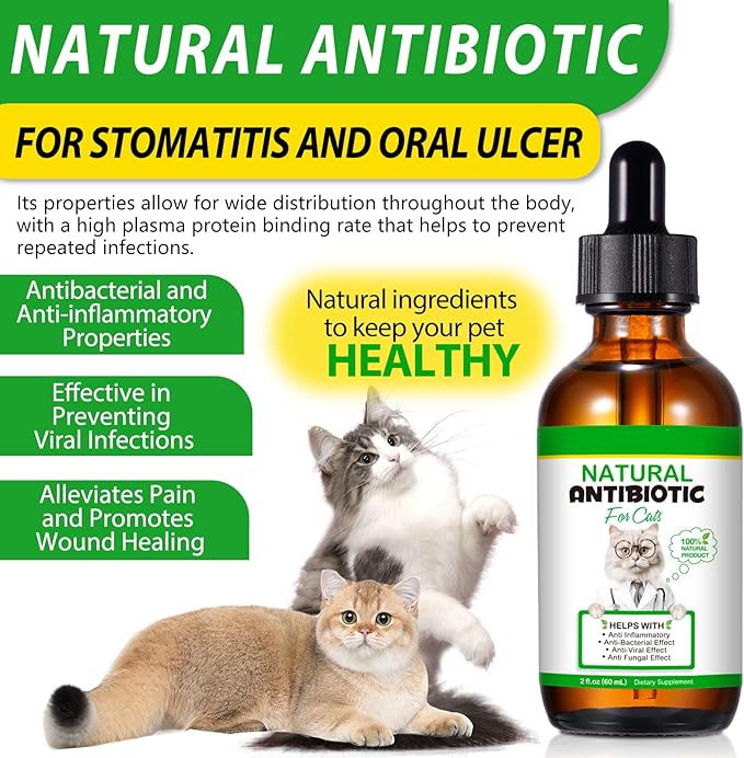 Cat Antibiotics, Antibiotics for Cats, Natural Cat Antibiotics Multivitamin Herbal Supplements 60ml