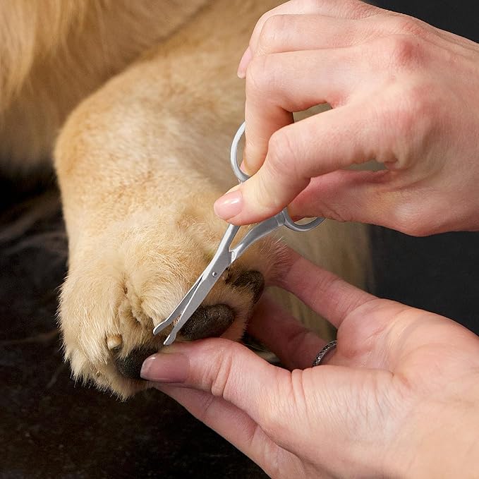 Tweezerman Pet Grooming Scissors, Stainless Steel Rounded Tip Trimming Shears for Dogs and Cats