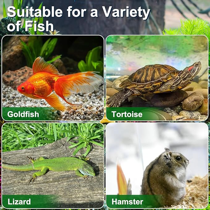 Angoily 4pcs Portable Turtle Tank 5. 9x4. 3x3. 7 Inch Plastic Handheld Fish Tanks Reptile Habitat Small Pet Aquarium with Handle for Travel and Home Use