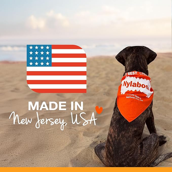 Nylabone Power Chew Classic Bone Chew Toy for Dogs, Durable Dog Toys for Aggressive Chewers, Peanut Butter Flavor, Large/Giant - Up to 50 lbs. (1 Count)