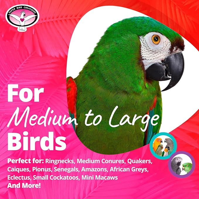 Super Bird Creations SB1215 Screwball Bird Toy - Interactive Mechanical Bird Toy for Large Birds - African Greys, Parrots, Small Cockatoos, Mini Macaws - Encourages Exploration and Physical Exercise
