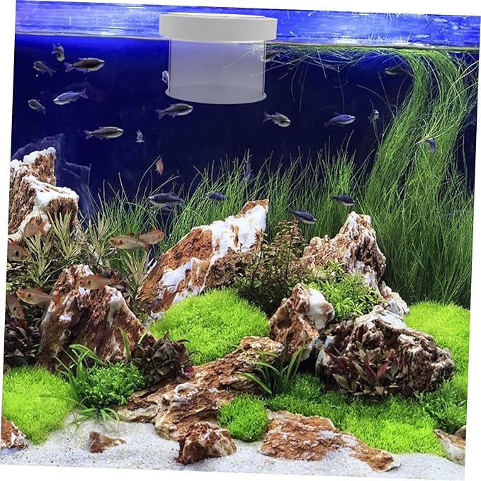 BESPORTBLE Floating Fish Isolation Box Durable Acrylic Aquarium Breeding Box for Fish Hatchery Easy to Clean and Use No Suction Cups Required Transparent Design for Observation