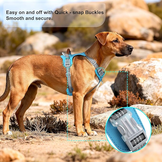No Pull Dog Harness – Adjustable Reflective Nylon Vest for Small Medium Large Dogs, Escape Proof Training Harness with Leather Control Handle, Lightweight Aluminum Hardware (Cyan, L)