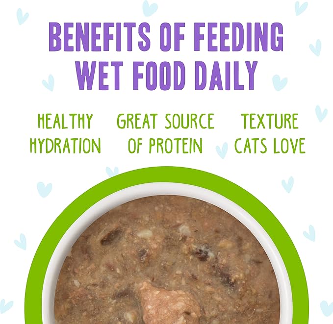 Weruva B.F.F. OMG - Best Feline Friend Oh My Gravy!, Selfie Cam! with Chicken & Lamb in Gravy Cat Food, 2.8oz Can (Pack of 12)