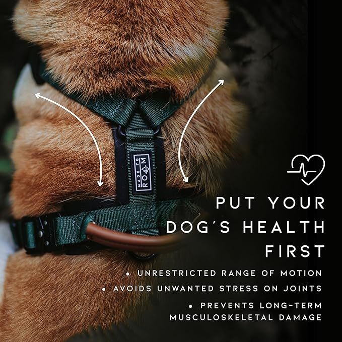 MADE TO ROAM Premium Explorer Harness - Y-Shaped Dog Harness with Adjustable Durable Nylon, Soft Padding, Metal Buckles and Leather Handle for Small, Medium, Large Dogs (Nevada Evening, Size 6)
