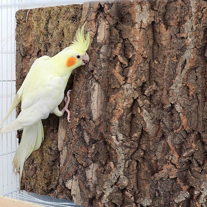 2 Pack 22 x 14 Inch 100% Natural Cork Perch, Bird Cork Seat Boards, Birdcage Bark Decor Accessories Toy for Birds Parakeets Budgie Parrot Cockatiel Hamster Guinea Pig Rat