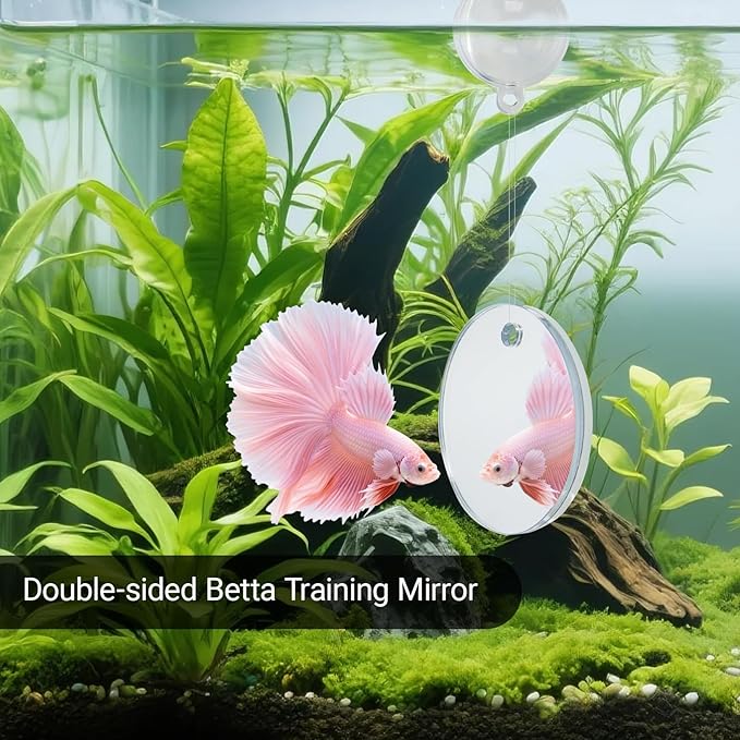 Betta Fish Toy Set: Betta Training Floating Mirror, Training/Feeding Ring, Spoon, and Resting Leaf. Promotes Exercise. Betta Toys, Resting & Feeding Kit(Red)