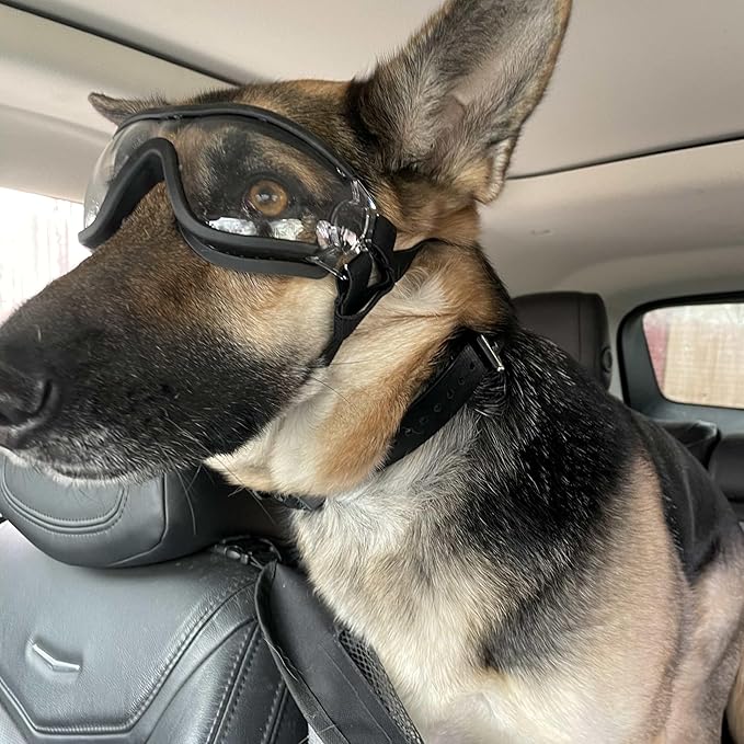 Enjoying Clear Dog Goggles for Medium to Large Dogs, Dog Sunglasses UV Protection, Large Dogs Driving Eye Protection, Windproof Dustproof Anti-Fog, Breathable, Adjustable Straps, Clear
