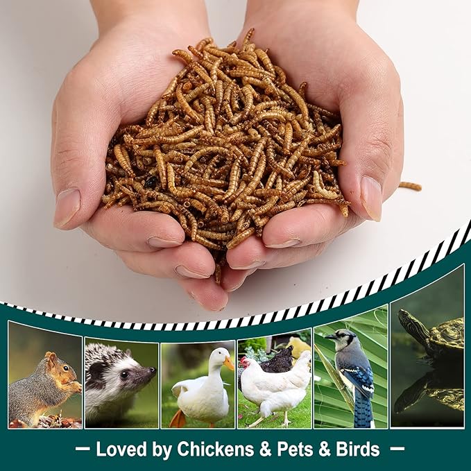5LB 100% Natural Non-GMO High Protein Dried Mealworms, Large Size No Moisture, Perfect for Chickens Birds Hedgehog Hamster Fish Reptile Turtles