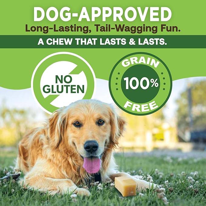 EcoKind Premium Gold Yak Cheese Himalayan Dog Chews, Dog Treats for Medium Dogs, All Natural, High Protein, for Aggressive Chewers, Medium - 3 Chews