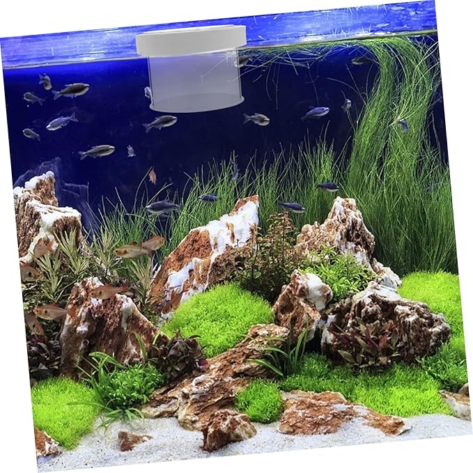 BESPORTBLE Floating Fish Tank Isolation Box Durable Acrylic Aquarium Breeding Box for Fish with Design for Guppy Shrimp Clownfish for Fish Enthusiasts