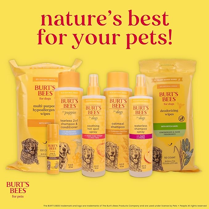 Burt's Bees for Pets Slicker Brush | Removes Loose Cat Fur, Prevents Matting | Ideal for Daily Grooming, Smooth Coat
