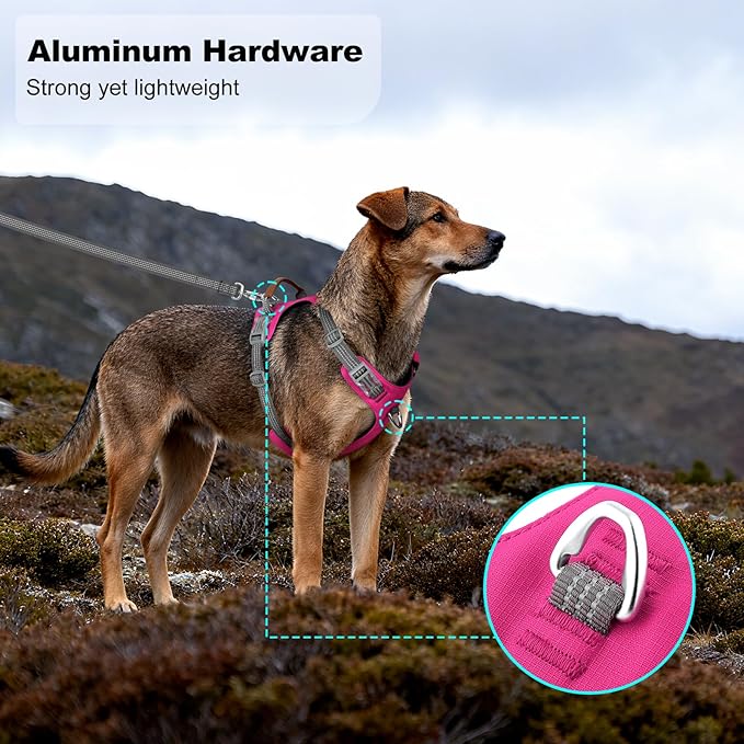 No Pull Dog Harness – Adjustable Reflective Nylon Vest for Small Medium Large Dogs, Escape Proof Training Harness with Leather Control Handle, Lightweight Aluminum Hardware (Hot Pink, L)