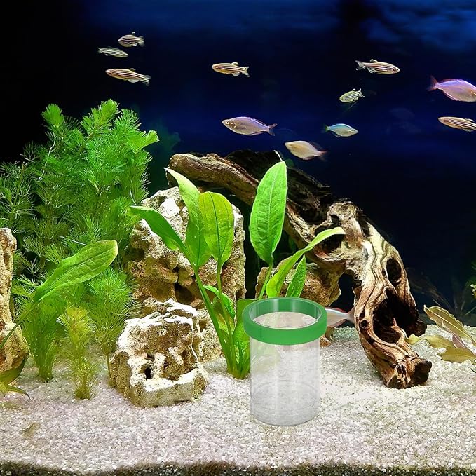 Small Fish Breeding Isolation Box with Floating Egg Net and Divider, Aquarium Hatchery Incubator for Guppy Fry, Green Compact Fish Tank Breeder Chamber