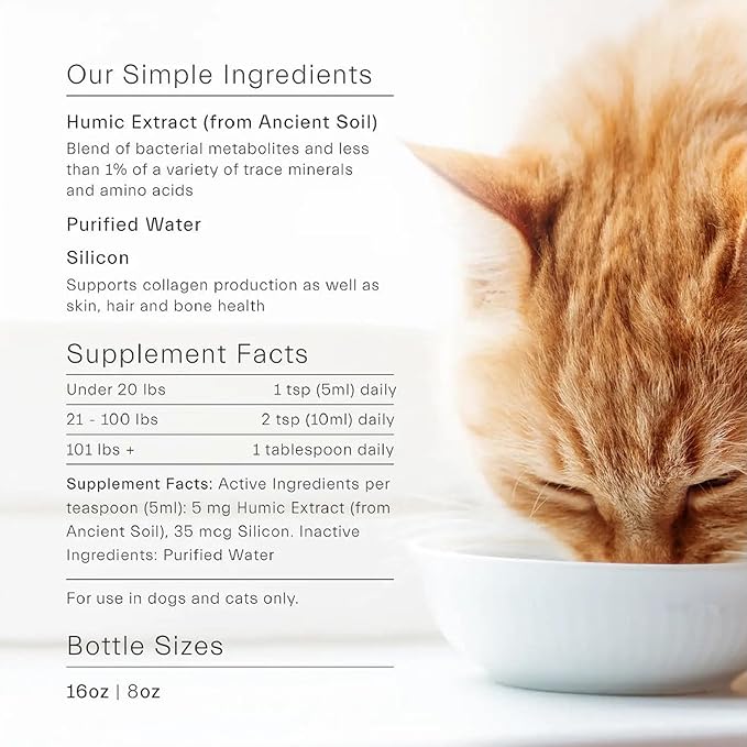 ION* Intelligence of Nature Gut Support For Pets - Liquid Probiotics Drops Alternative for Dogs & Cats, Digestive Health for Puppies, Skin & Hair Health - 16 fl oz (Pack of 1)