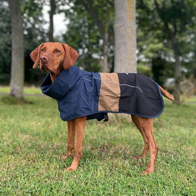 Spark Paws Dog Raincoat, Waterproof Windproof Rain Jacket, for Small Medium Large Extra Large Dogs, Reflective Breathable Full-Body Coverage Dry Suit - Blue Gold Black - 3XL