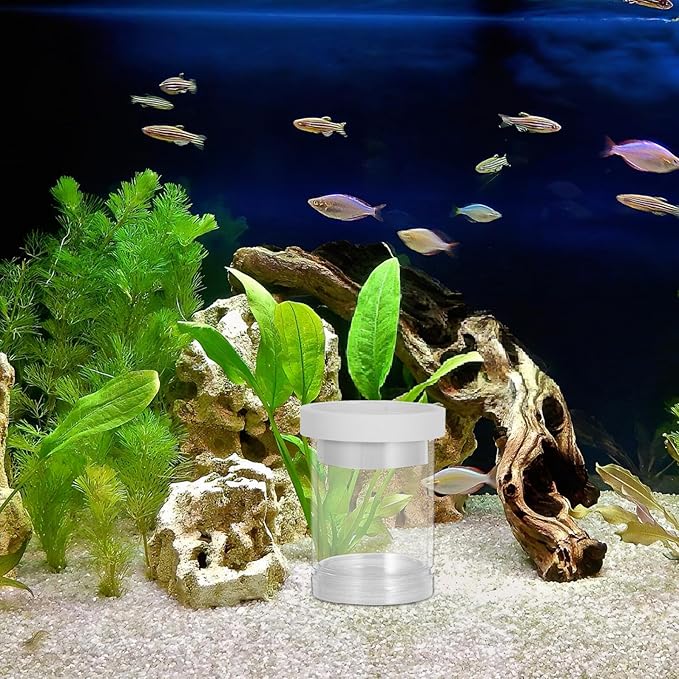 Healifty Fish Tank Egg Incubator Floating Breeding Box with Isolation Net White Small Aquarium Fish Nursery Separation for Guppy and Hatching