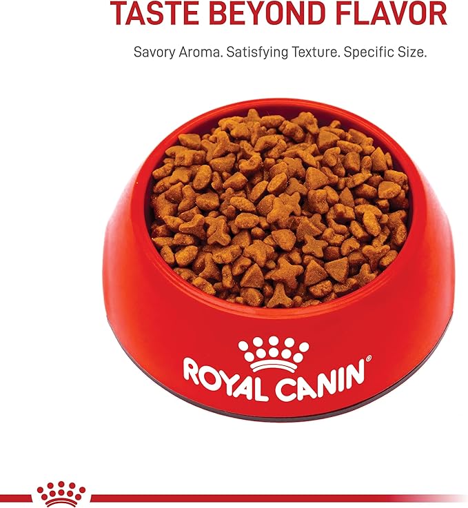 Royal Canin Feline Health Nutrition Sensitive Digestion Adult Dry Cat Food, 15 lb Bag
