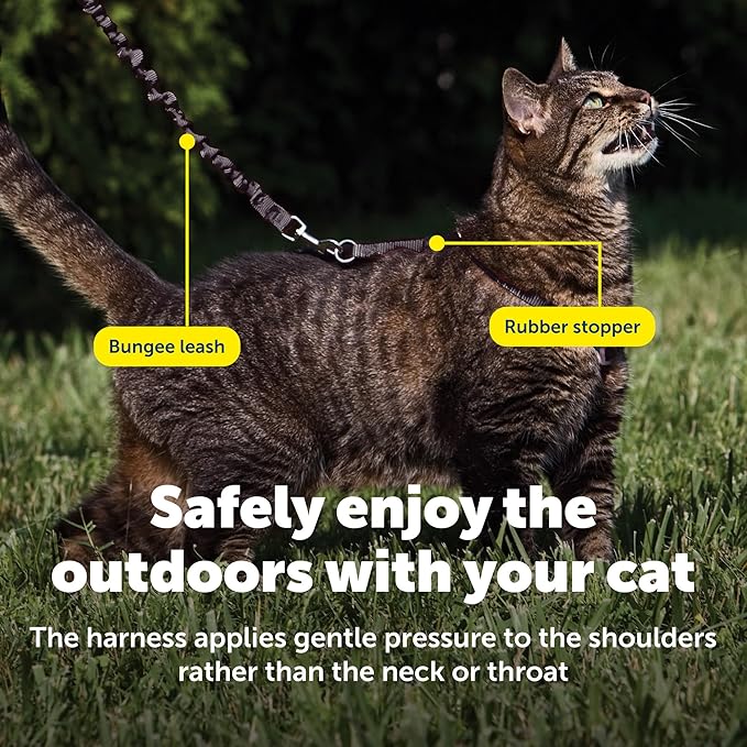 PetSafe Come With Me Kitty Cat Harness & Bungee Leash - Comfortable Cat Harness with Lightweight Bungee Leash for Outdoor Fun - More Secure Walks - Small - Black