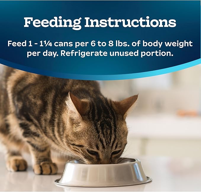 Blue Buffalo Tastefuls Wet Cat Food Paté,Made with Natural Ingredients,Turkey and Chicken Entrée,5.5-oz Cans,(Pack of 48)
