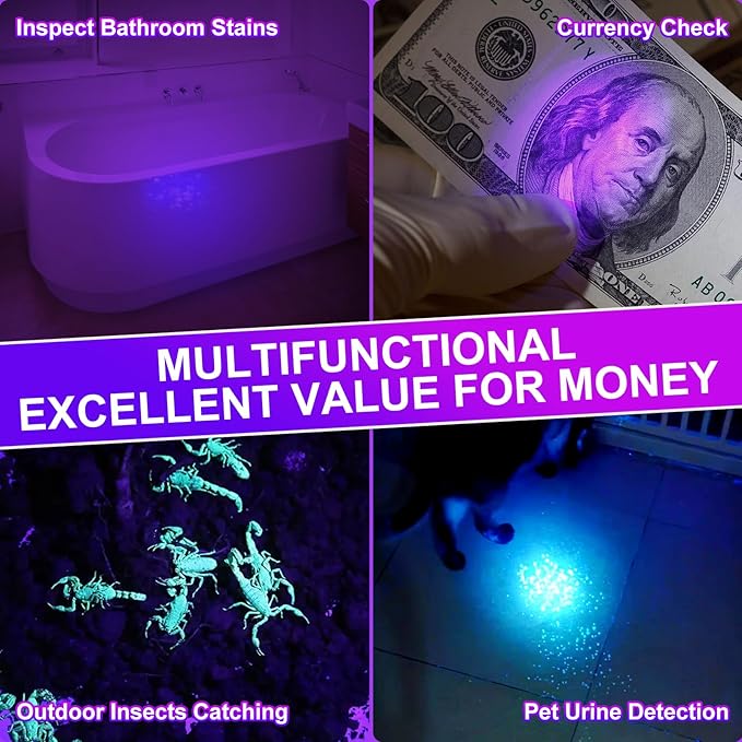 365nm Black Light Flashlight with Black Filter, High Power Rechargeable UV Flashlight, Ultraviolet Bright UV Led Torch for Pet Urine & Bed Bug Detector, Scorpions, Dry Stains, Rock Hunting