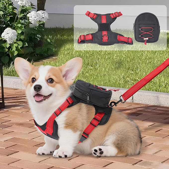 Dog Backpack Harness for Small and Medium Dogs, Adjustable Lightweight Carrier with Detachable Backpack and Leash, Water Resistant for Hiking, Training, and Daily Walks, M