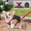 Dog Backpack Harness for Small and Medium Dogs, Adjustable Pet Bag with Detachable Backpack and Leash, Water-Resistant for Hiking, Travel and Walks, S