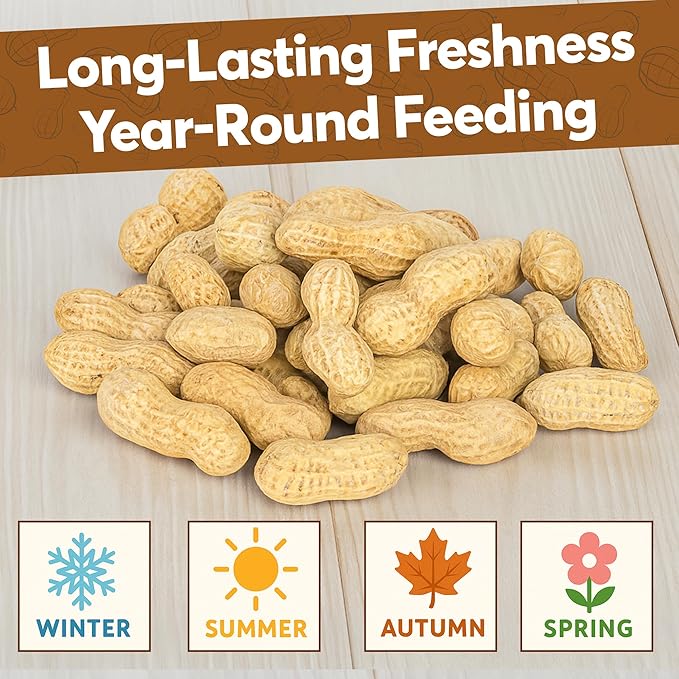 8 LB - Raw Peanuts For Squirrels, Raw In Shell Peanuts For Birds and Wildlife- Squirrel Food, Wild Bird Seed - Grown in The USA