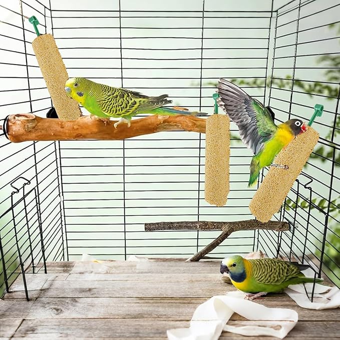 Bird Treat Sticks - Natural Foraging Snacks for Parakeets, Conures, Small Birds with Chewing and Training Benefits | 2-Piece Reward Food for Myna, Finch, Parrot, Fun and Healthy Bird Care