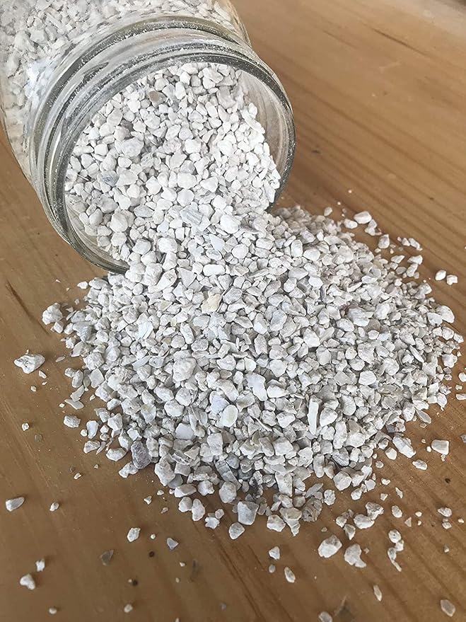 CZ Grain Calcium and Crushed Oyster Shells for Chickens - Grit for Chickens and Ducks (22 Pounds)