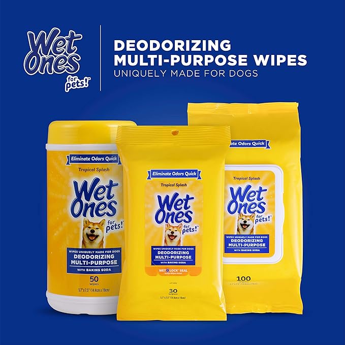 Wet Ones for Pets Deodorizing Multipurpose Dog Wipes with Baking Soda, Tropical Splash Scent - Desmellizing Wipes for Dogs with Wet Lock Seal, 100 Count