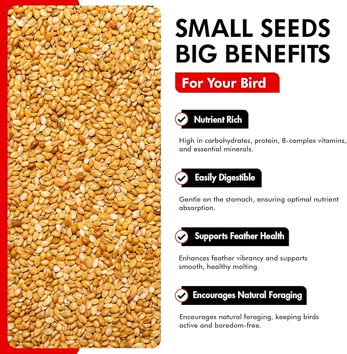 Morning Bird Golden German Millet 1.5 lbs – Natural Millet Seed for Birds – Natural Protein & Fiber Source – Easy-to-Digest Daily Nutrition for All Bird Types