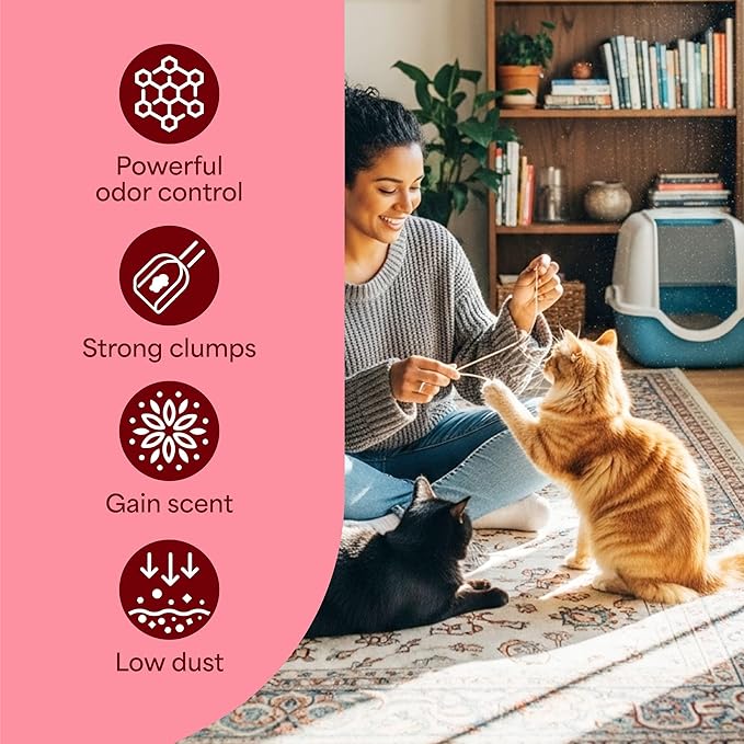 Fresh Step Odor Shield Advanced Multi Cat Clumping Litter with Febreze Freshness, Gain Original Scent, 18.5 lb Each, Pack of 2 (Package May Vary)