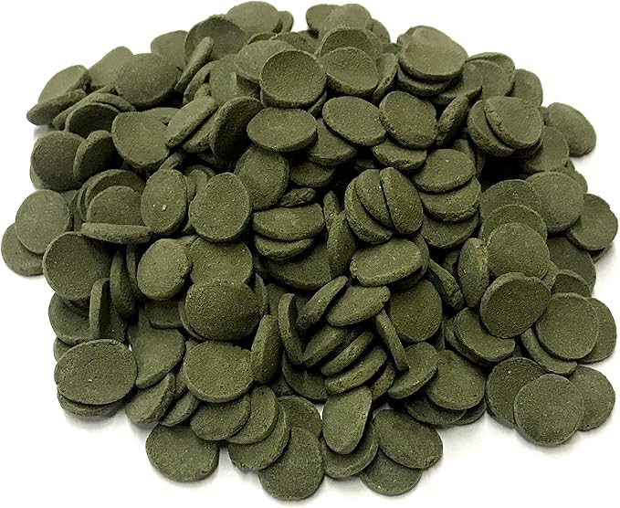Medium 12mm Algae Wafer - Algae Wafers for Bottom Feeders - The Best Pleco Wafers & Pleco Food Available - Algae Wafers for Snails (10 lb)