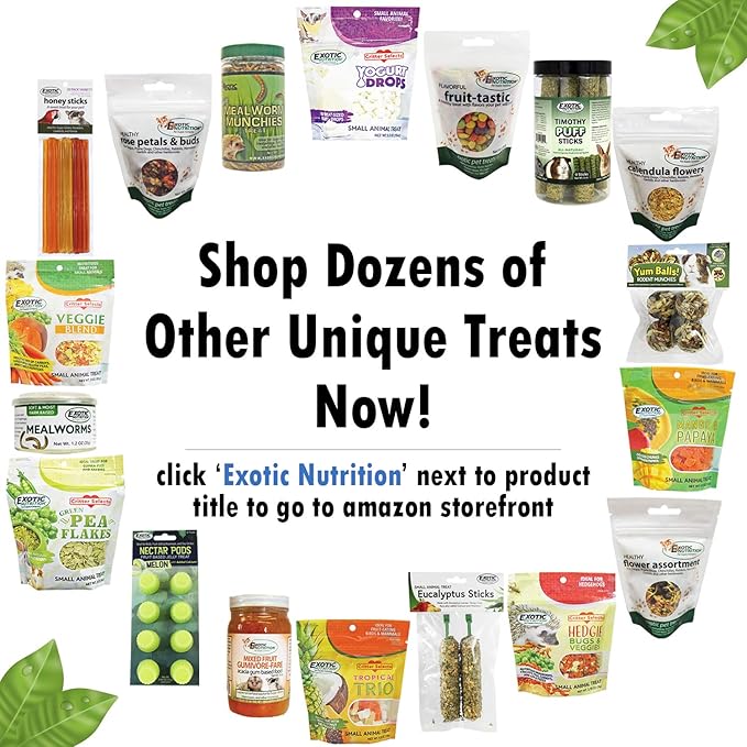 Fruit-Tastic Treat (3 lb.) - Healthy Crunchy Fruit-Flavored Treat - Sugar Gliders, Squirrels, Marmosets, Prairie Dogs, Hamsters, Chinchillas, Exotic Birds, Rabbits, Guinea Pigs, Degus & Small Pets