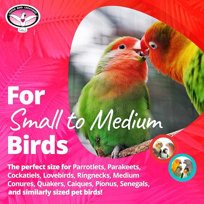 Super Bird Creations SB1199 Sola Balsa Stack Bird Toy - Bird Enrichment Toys, Wooden Bird Toys for Small/Medium Bird Size, Ideal for Parakeets and Cockatiel, Natural Bird Toys for Cage Play