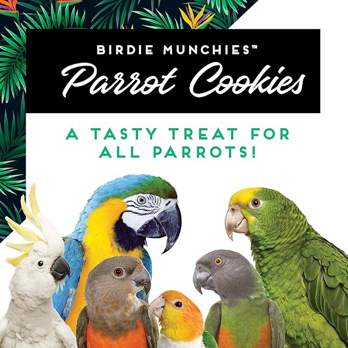 Oven Fresh Bites Baked Birdie Munchies Oatmeal Raisin Treats, 4 oz.