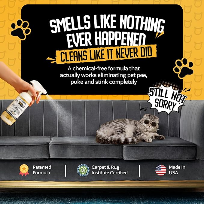 P*SS OFF+ All Purpose Stain and Odor Remover - Professional Strength Cat Pee Odor Eliminator, Deodorizer for Pet Urine & Poop, Carpets, Upholstery, Leather, Non Toxic Air Freshener for Home - 1 Gallon