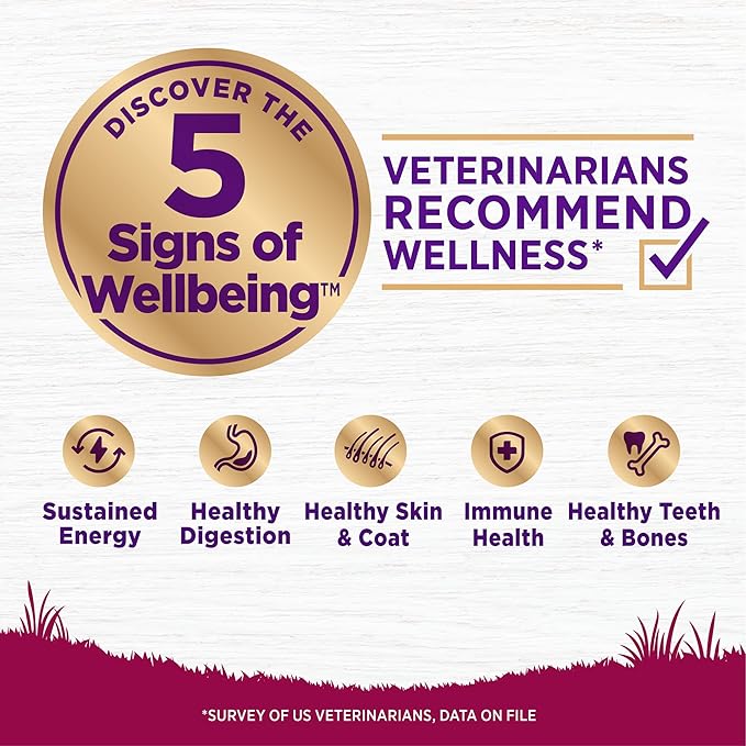 Wellness Complete Health Dry Dog Food, Small Breed, Wholesome Grains, Natural, Healthy Weight Turkey & Brown Rice Recipe, (4-Pound Bag)